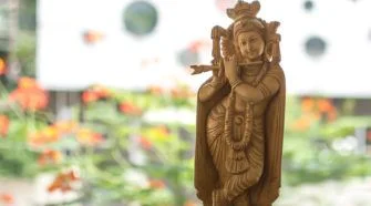 Lord Krishna - Hansa Katha Feature Image