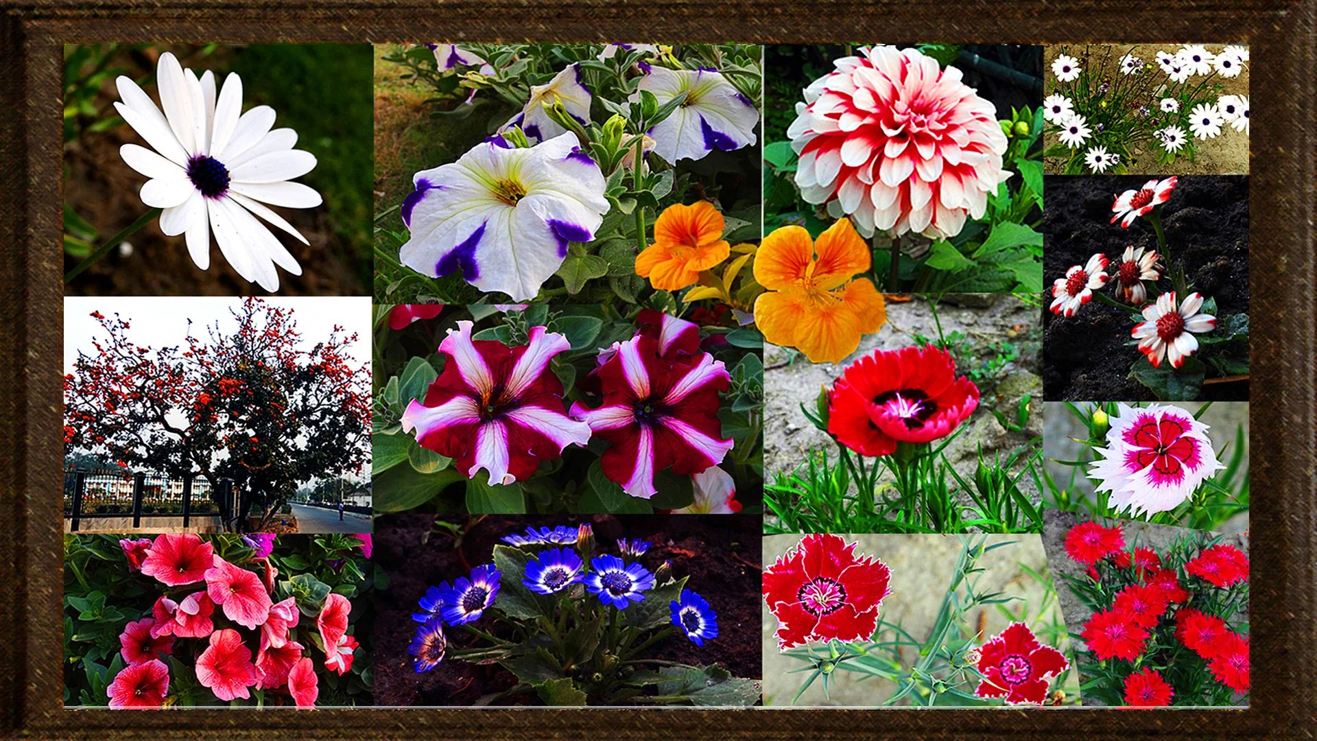 Siliguri 1 Siliguri 1