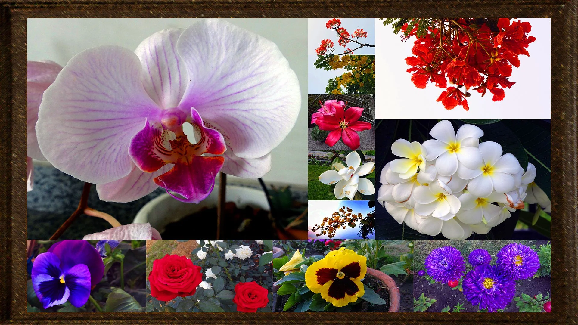 Siliguri 6 Siliguri 6