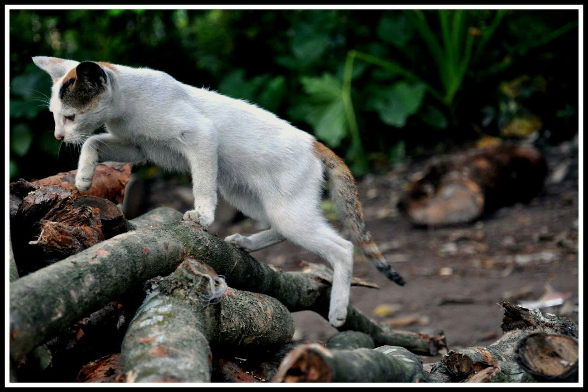 PxHere Image Sample 4